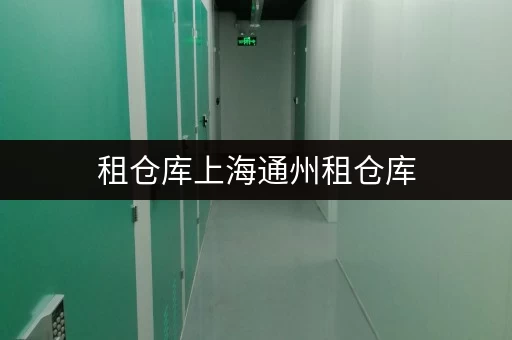 租仓库上海通州租仓库,安全与温湿监控双保险,轻松存储无忧 租仓库上海通州租仓库,安全与温湿监控双保险,轻松存储无忧