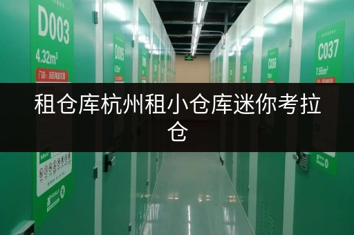 租仓库杭州租小仓库迷你考拉仓，家庭空间释放新选择，品质生活从“轻”开始