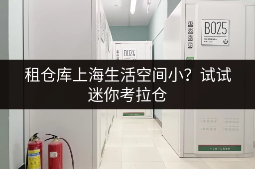 租仓库上海生活空间小？试试迷你考拉仓，安全温湿监控，让你的物品安“新家”
