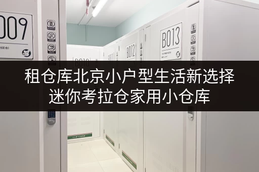 租仓库北京小户型生活新选择迷你考拉仓家用小仓库，价格透明省钱攻略