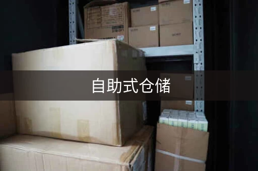 自助式仓储，自助仓是什么意思啊