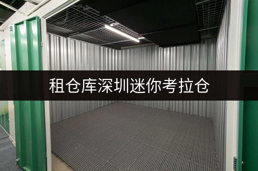 租仓库深圳迷你考拉仓，租金透明，安全无忧——揭秘价格与温湿监控背后的秘密