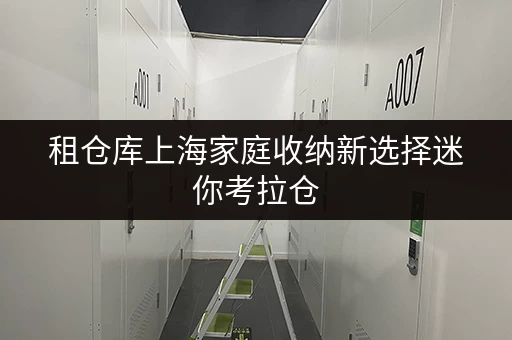 租仓库上海家庭收纳新选择迷你考拉仓，透明价格，巧省空间费