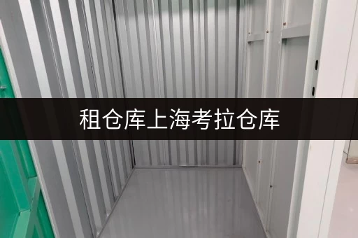 租仓库上海考拉仓库,释放空间,提升生活品质全攻略 租仓库上海考拉仓库,释放空间,提升生活品质全攻略