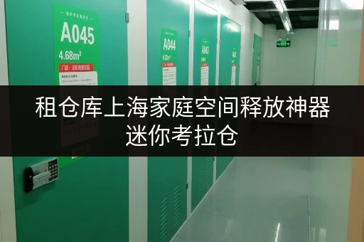租仓库上海家庭空间释放神器迷你考拉仓，安全温湿监控，轻松找到理想仓库