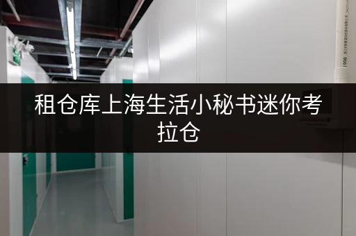 租仓库上海生活小秘书迷你考拉仓,你的货物存放更省心之选 租仓库上海生活小秘书迷你考拉仓,你的货物存放更省心之选