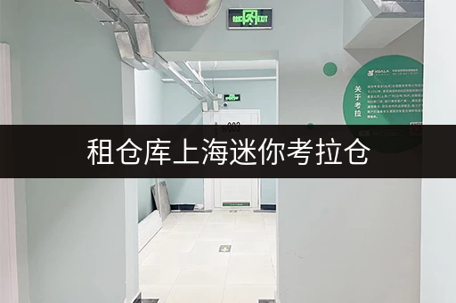 租仓库上海迷你考拉仓，释放空间，提升生活品质的“第三空间”