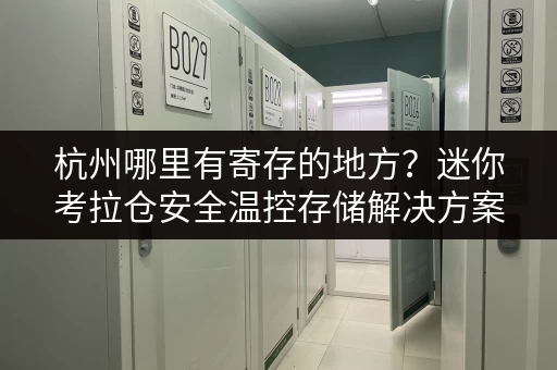 杭州哪里有寄存的地方？迷你考拉仓安全温控存储解决方案