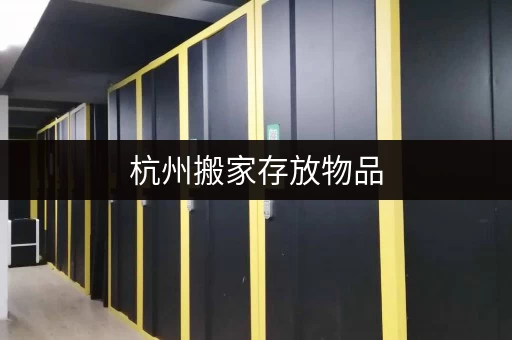 杭州搬家存放物品,迷你考拉仓如何保障您的物品安全? 杭州搬家存放物品,迷你考拉仓如何保障您的物品安全?