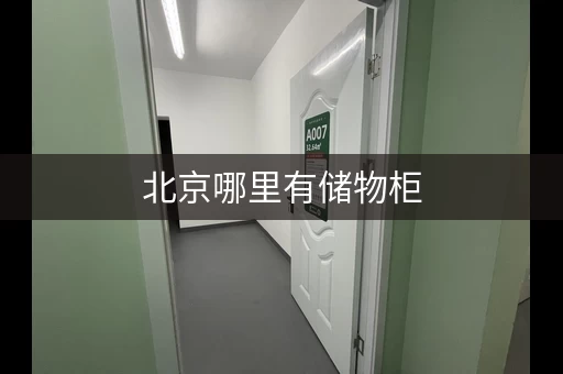 北京哪里有储物柜，北京储存东西的地方叫什么