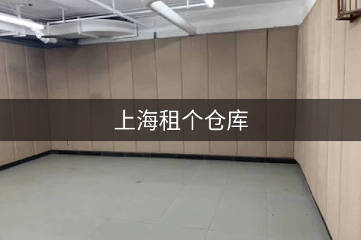 上海租个仓库，上海小仓库出租20m