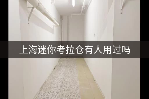 上海迷你考拉仓有人用过吗，考拉迷你仓价目表
