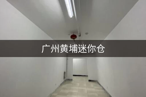 广州黄埔迷你仓，广州迷你仓储价格