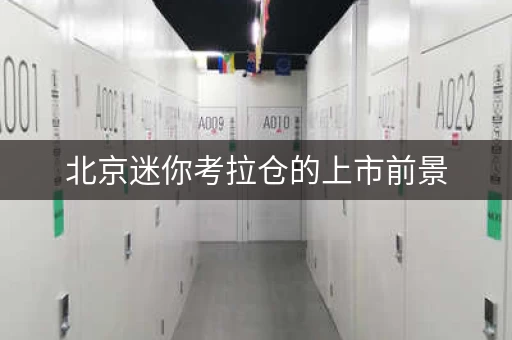 北京迷你考拉仓的上市前景，迷你考拉仓库报价单