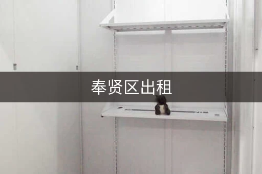 奉贤区出租，上海奉贤南桥仓库出租