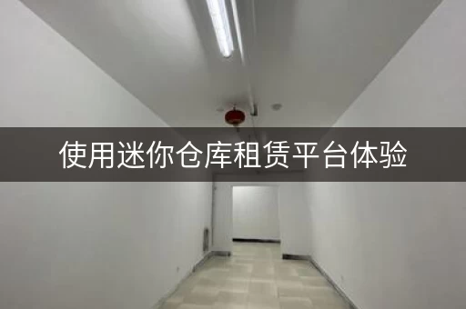 使用迷你仓库租赁平台体验