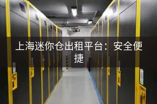 上海迷你仓出租平台：安全便捷，价格优惠