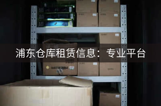 浦东仓库租赁信息：专业平台，高效便捷，省心省力