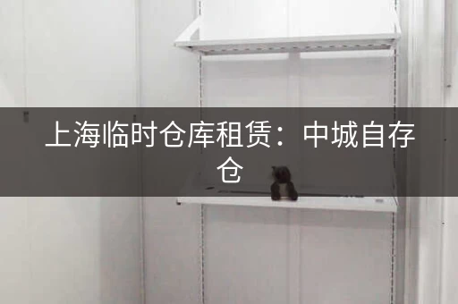 上海临时仓库租赁：考拉迷你自存仓，价格实惠