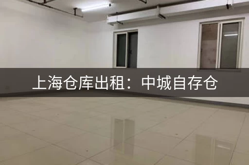 上海仓库出租：迷你考拉自存仓，提供安全便捷存储服务