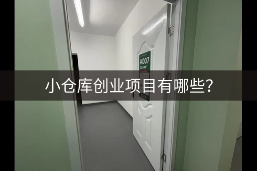 小仓库创业项目有哪些？