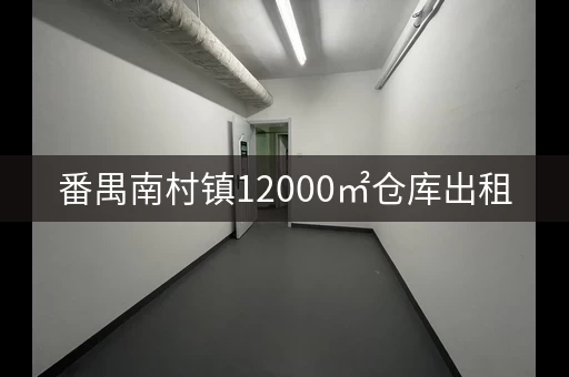 番禺南村镇12000㎡仓库出租，适合各行业！
