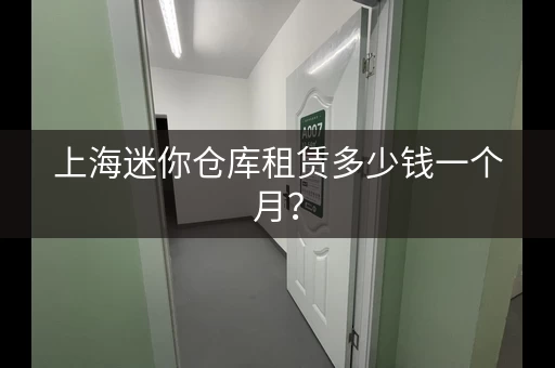 上海迷你仓库租赁多少钱一个月？