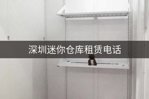 深圳迷你仓库租赁电话,服务周到值得信赖 深圳迷你仓库租赁电话,服务周到值得信赖