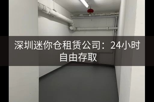 深圳迷你仓租赁公司：24小时自由存取，温湿度控制
