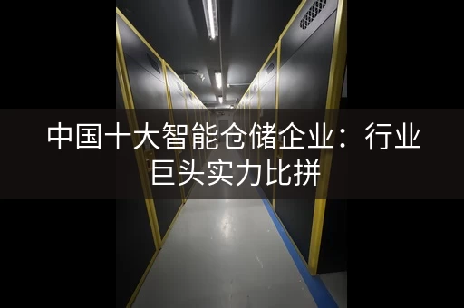 中国十大智能仓储企业:行业巨头实力比拼 中国十大智能仓储企业:行业巨头实力比拼
