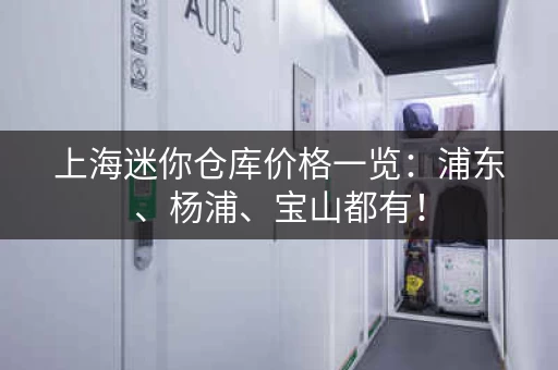 上海迷你仓库价格一览：浦东、杨浦、宝山都有！