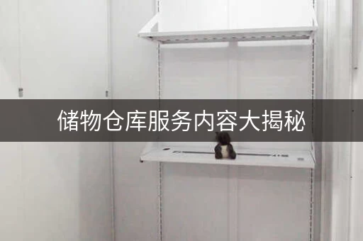储物仓库服务内容大揭秘，让你不再迷茫