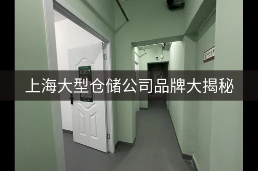上海大型仓储公司品牌大揭秘，你了解多少？