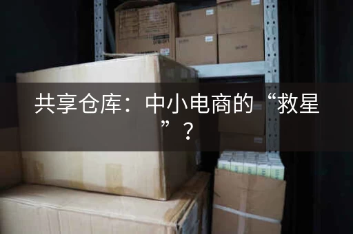 共享仓库:中小电商的“救星”? 共享仓库:中小电商的“救星”?