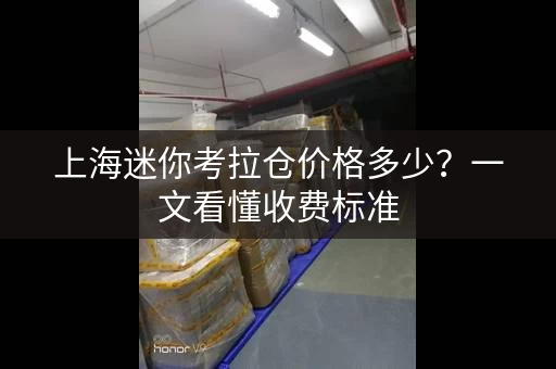 上海迷你考拉仓价格多少？一文看懂收费标准