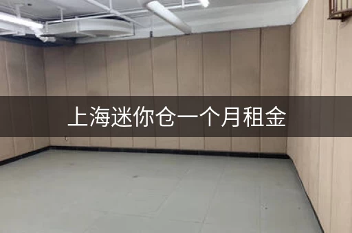 上海迷你仓一个月租金，你该花多少？