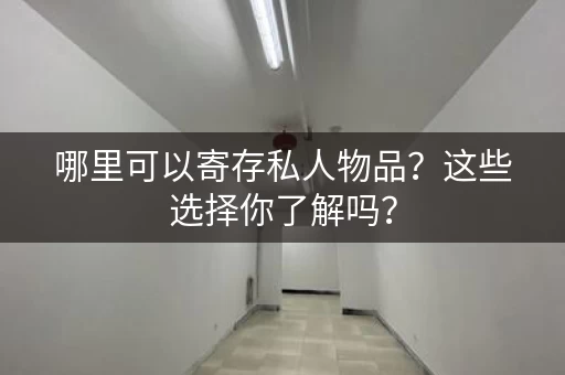 哪里可以寄存私人物品？这些选择你了解吗？