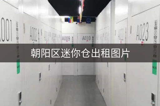 朝阳区迷你仓出租图片，小仓库大用途