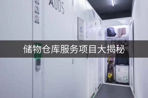 储物仓库服务项目大揭秘
