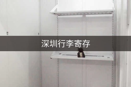 深圳行李寄存，不用愁！