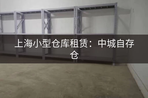 上海小型仓库租赁:考拉迷你自存仓,安全灵活便捷服务 上海小型仓库租赁:考拉迷你自存仓,安全灵活便捷服务