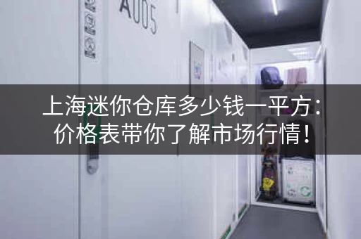 上海迷你仓库多少钱一平方：价格表带你了解市场行情！