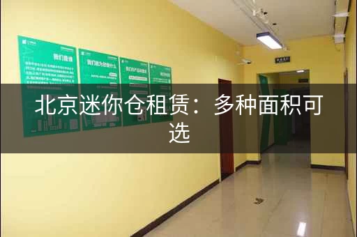 北京迷你仓租赁:多种面积可选,价格透明! 北京迷你仓租赁:多种面积可选,价格透明!