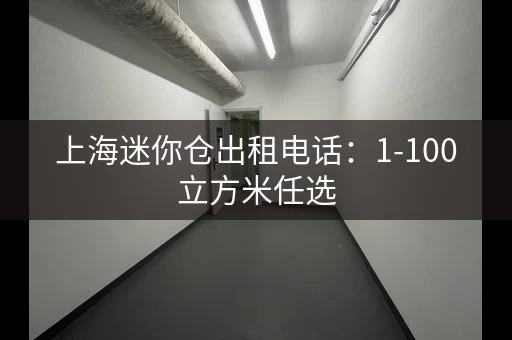 上海迷你仓出租电话：1-100立方米任选
