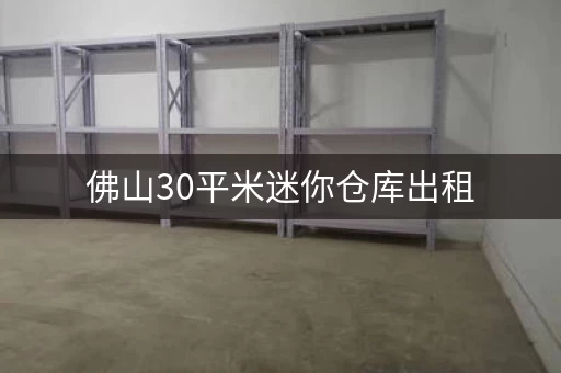 佛山30平米迷你仓库出租,适合小型创业者! 佛山30平米迷你仓库出租,适合小型创业者!