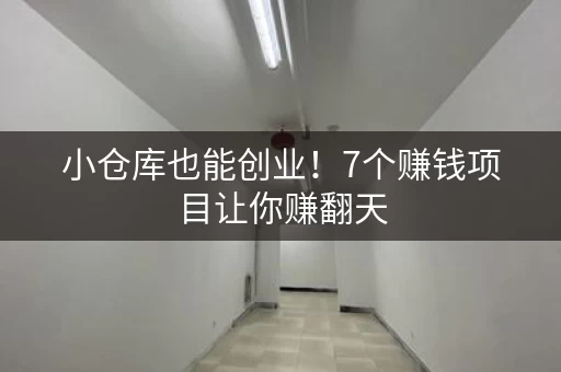 小仓库也能创业！7个赚钱项目让你赚翻天