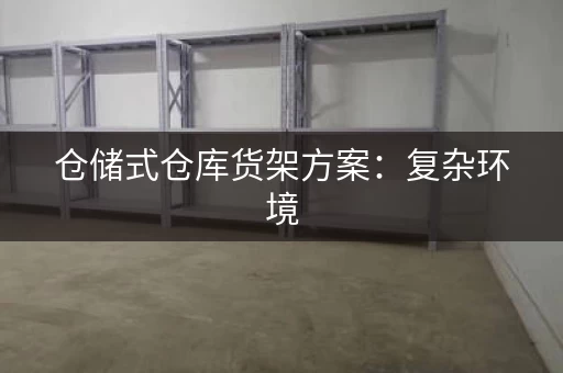 仓储式仓库货架方案：复杂环境，也有定制方案