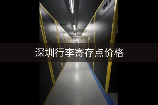 深圳行李寄存点价格，别再被坑了！