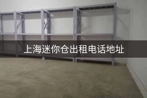 上海迷你仓出租电话地址，安全灵活仓型多样