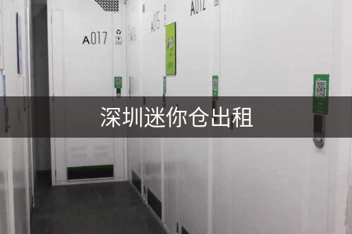 深圳迷你仓出租，安全便捷可靠